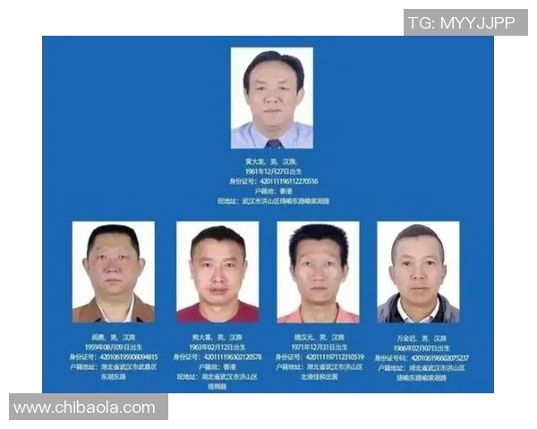 武汉网球队实力分析与表现评估探讨及未来发展方向研究